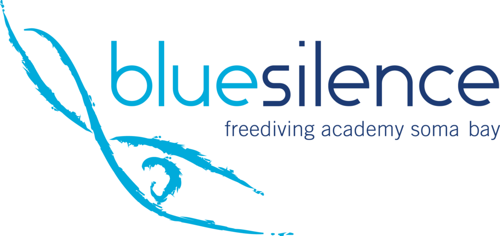blueSilence-Logo blueSilence-Logo
